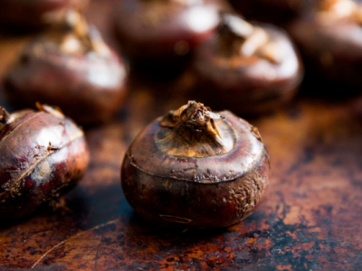 Châtaignes ou noix : laquelle l’emporte ?