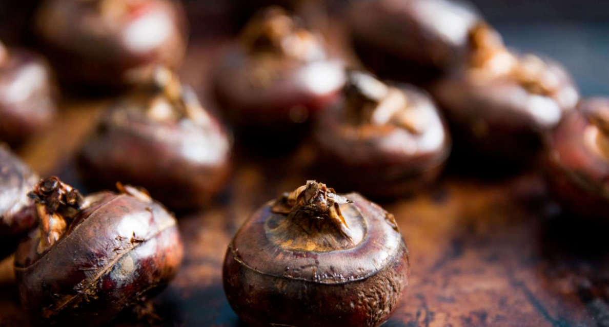 Chestnuts