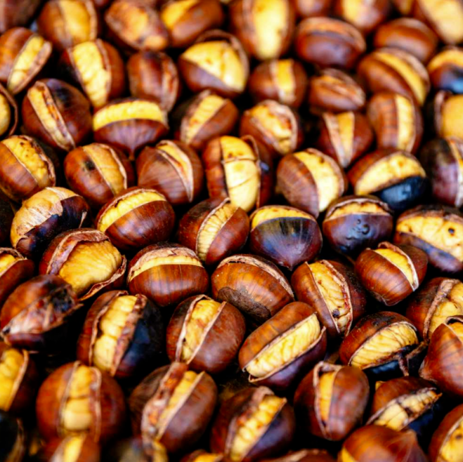 Why Wholesale Chestnuts Are the Next Big Thing in Agriculture