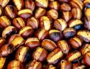 Why Wholesale Chestnuts Are the Next Big Thing in Agriculture