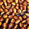 Why Wholesale Chestnuts Are the Next Big Thing in Agriculture