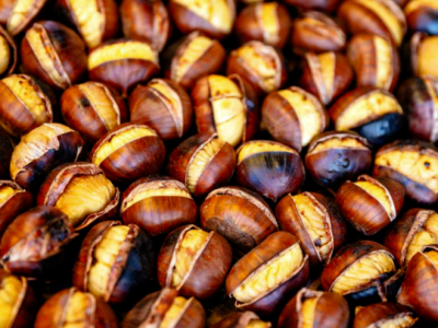 Pourquoi les châtaignes en gros sont la prochaine grande nouveauté dans l'agriculture