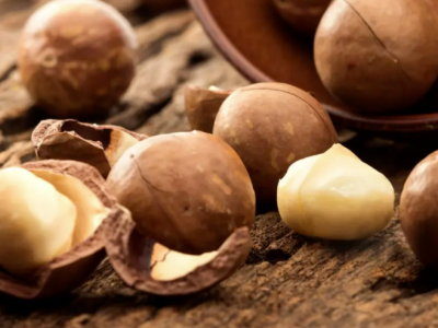 Pourquoi les consommateurs choisissent les noix de macadamia plutôt que d'autres collations