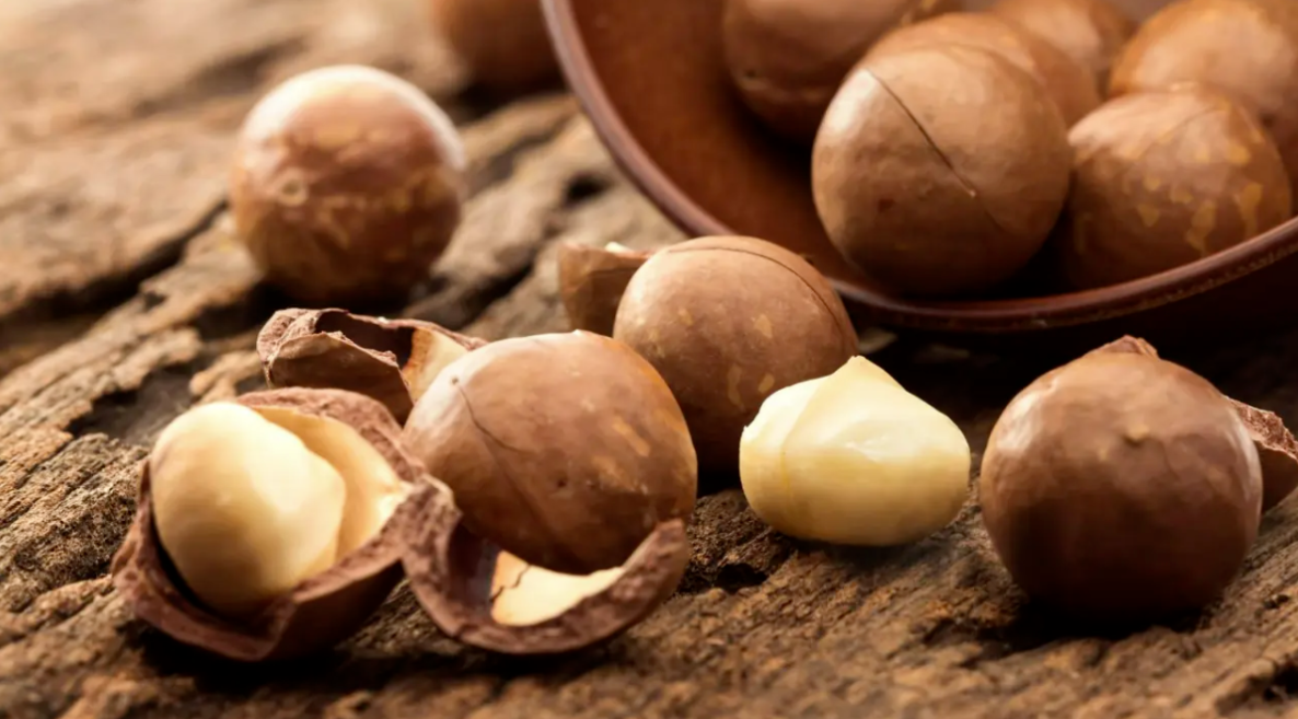 Macadamia Nuts