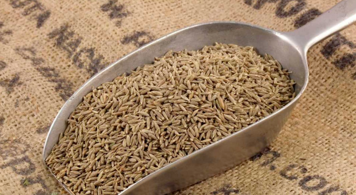 Wholesale Cumin Seeds