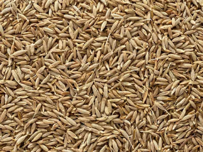 How to Ensure the Highest Quality in Wholesale Cumin Seeds