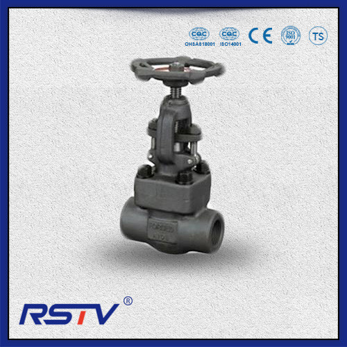 Forged Steel Bolted Bonnet Gate Valve