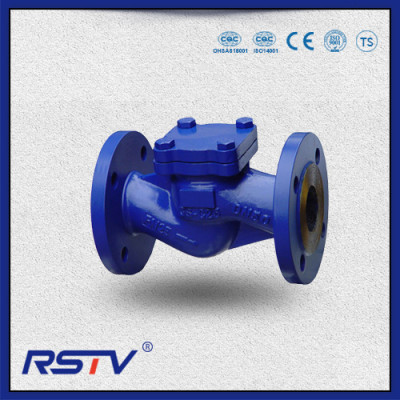 Cast Steel Flange Ends Swing Type Check Valve(API/DIN)