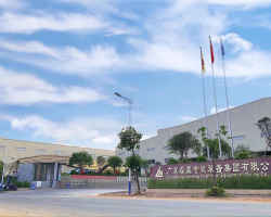 Guangdong Leimeng Intelligent Equipment Group Co., Ltd.