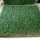 Comfortable feeling synthetic lawn with C shape yarn