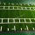 GREEN COLOR GYM ARTIFICIAL GRASS