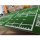 GREEN COLOR GYM ARTIFICIAL GRASS