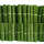 Decoration Grass