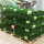 Decoration Grass