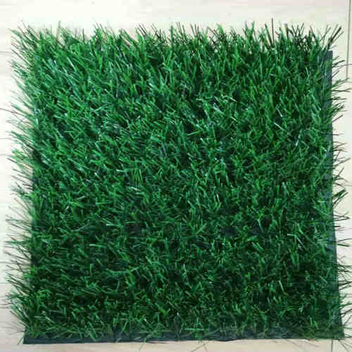 Thiolon Football Grass