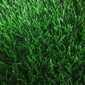 Thiolon Football Grass