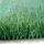Fillling free Football grass
