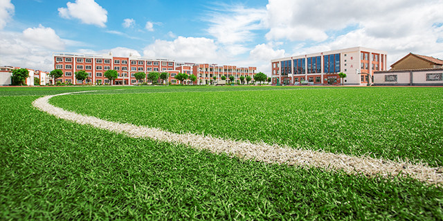 football filed grass