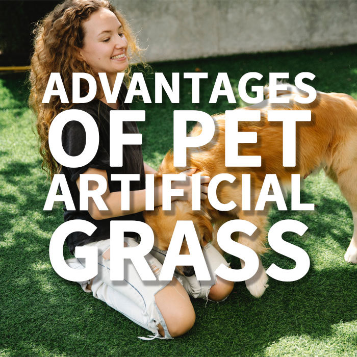 ¿Qué puedo poner debajo de la hierba artificial de mis perros?