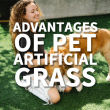 What can I put under my dogs fake grass?