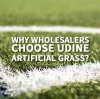 Why Wholesalers Choose UDINE Artificial Grass？
