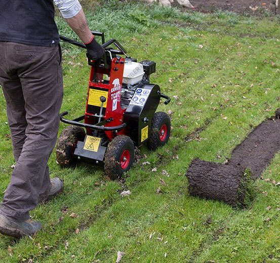 garden landscaping grass