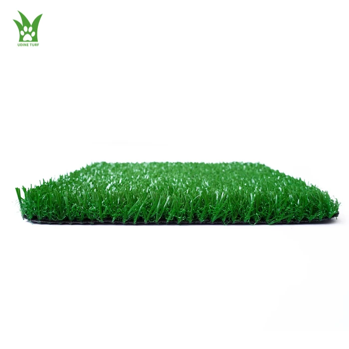 soccer field grass