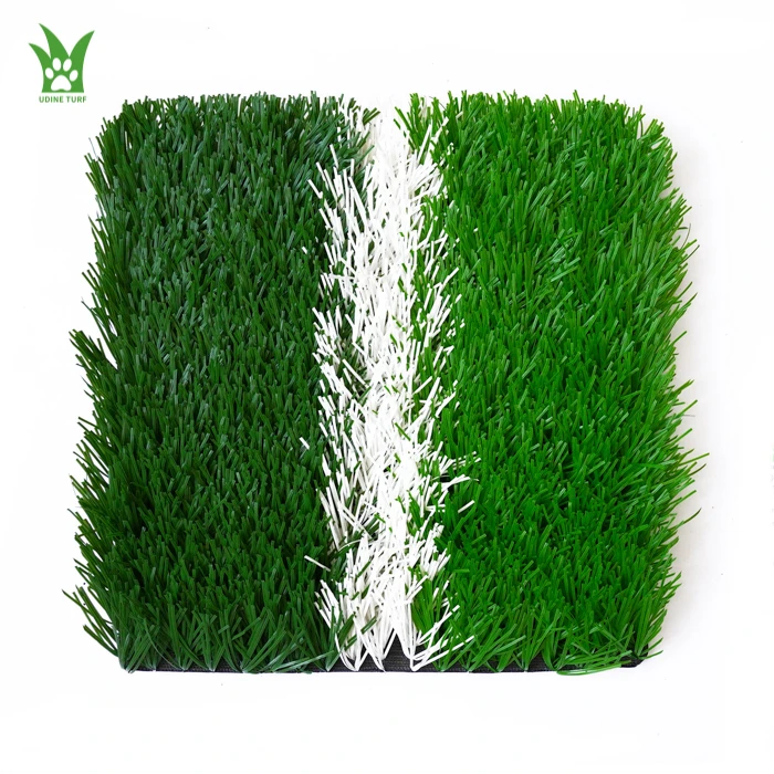 Soccer Ball Grass