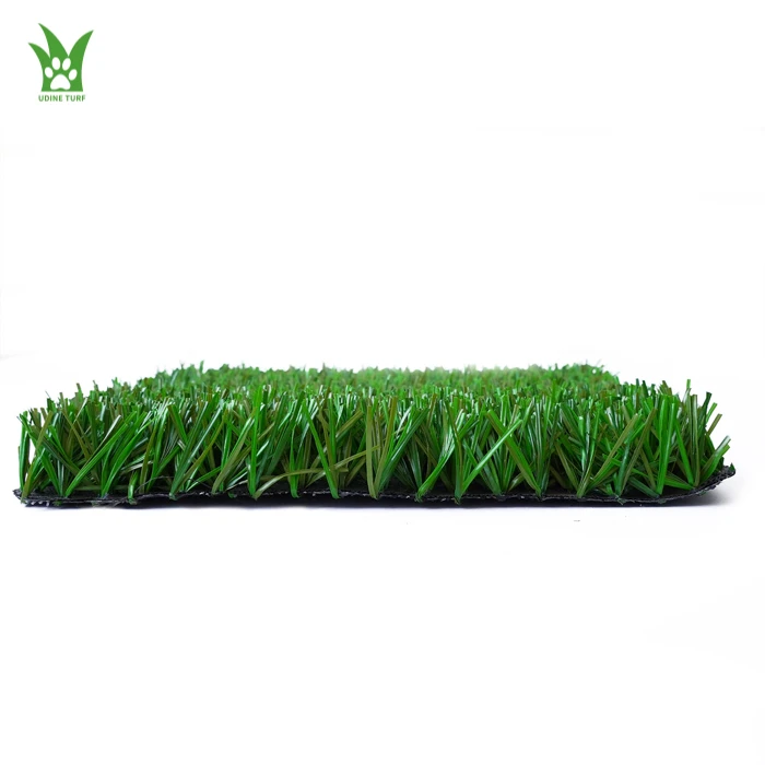 Football Field Grass