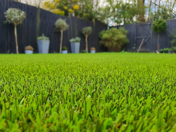 It looks like real grass