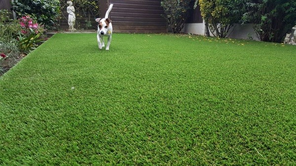 Non-toxic pet artificial grass