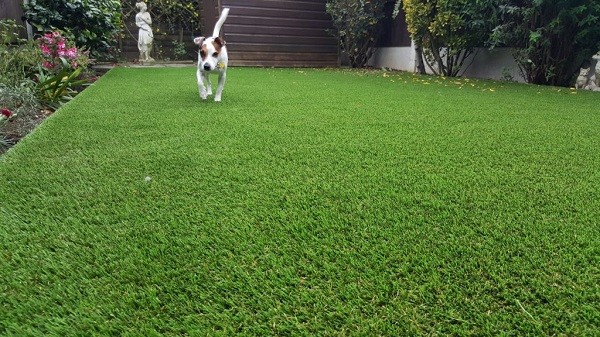 césped artificial para mascotas