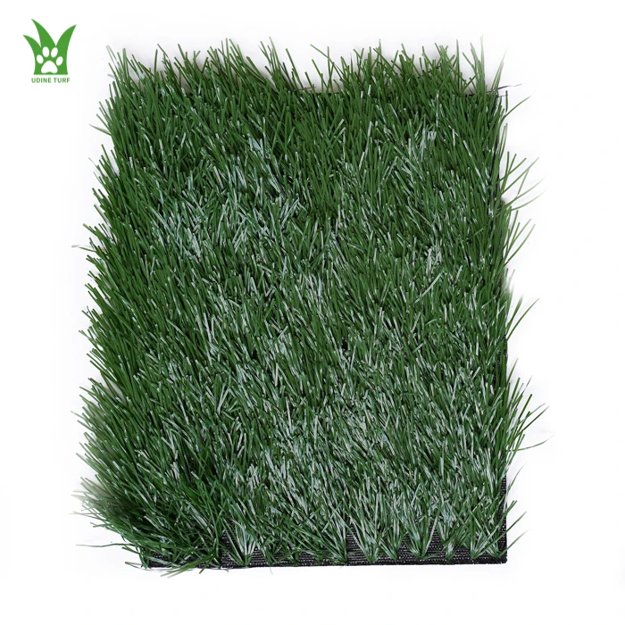 American football grass