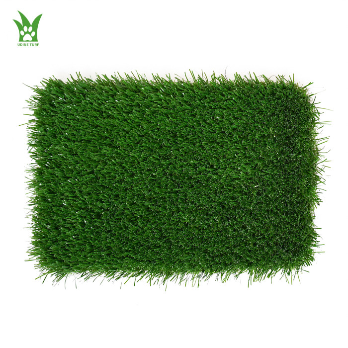 American football grass