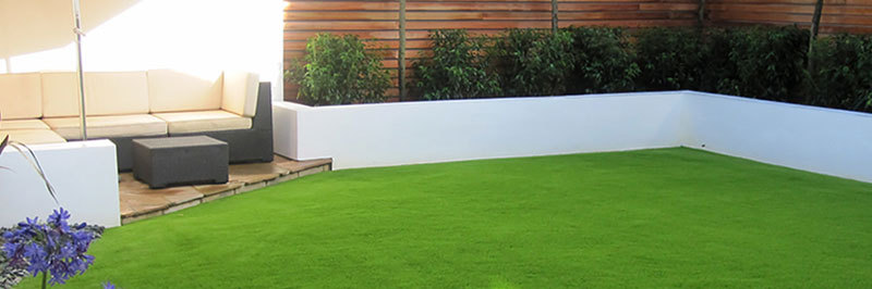 backyard landscape turf