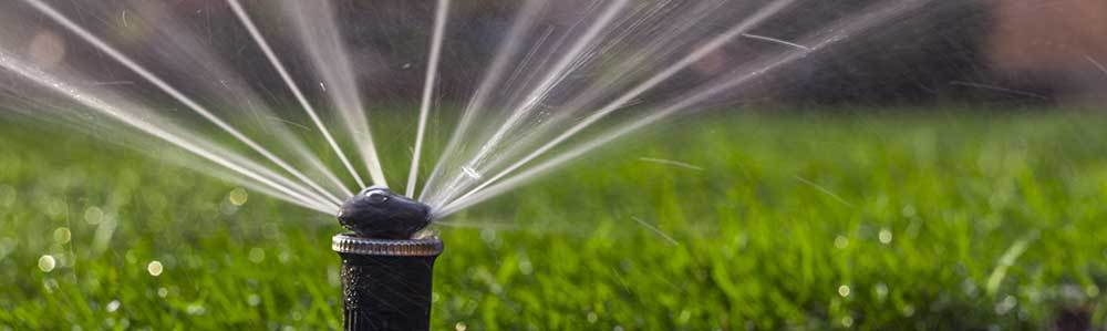 turf watering