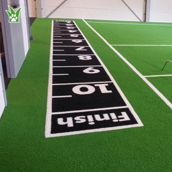 Bespoke Gym Sled Turf | Grass Gym Flooring | Gym Grass Turf Supplier