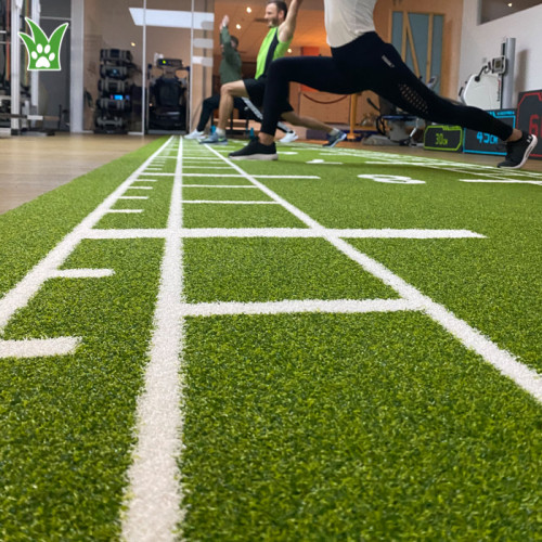 Custom Artificial Grass For Gym | Green Gym Turf | Grass Gym Flooring Manufacturer