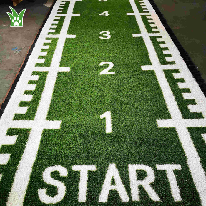 turf track gym