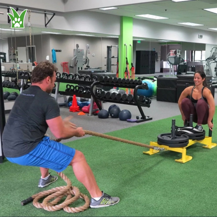 césped de gimnasio negro