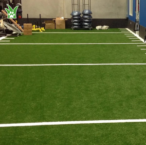 Custom Turf For Gyms | Indoor Turf For Gym | Turf Track Gym Factory
