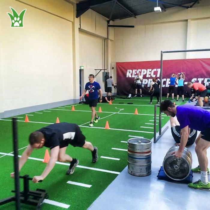 suelo de césped para gimnasio