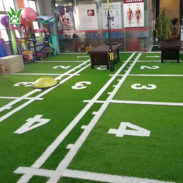 césped de gimnasio en casa