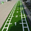 Сделанный на заказ газон для спортивных саней | Травяное покрытие для спортзала | Поставщик газона для спортзала