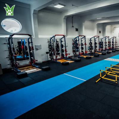Bespoke Gym Sled Turf | Grass Gym Flooring | Gym Grass Turf Supplier