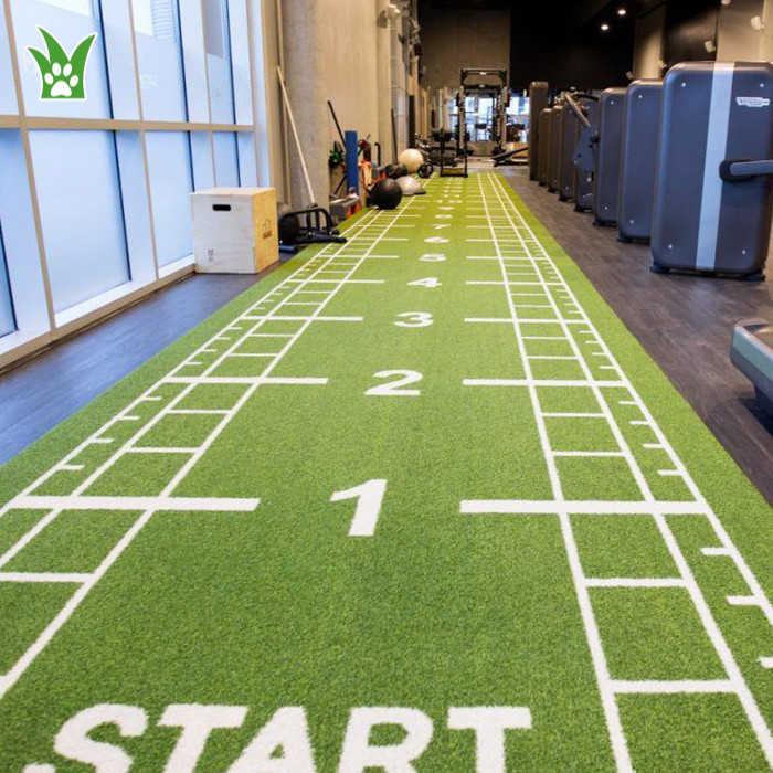 césped del piso del gimnasio