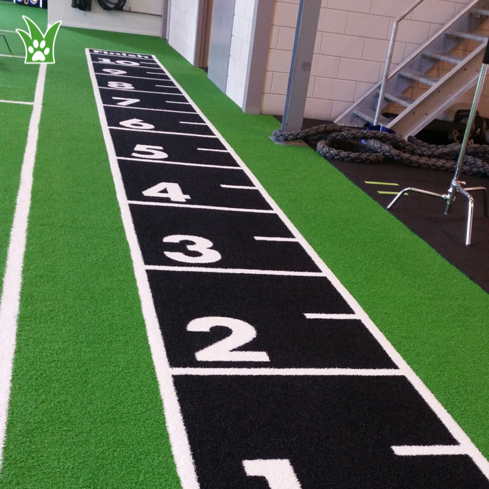 turf for gym sled