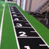 Bespoke Turf For Gym Sled | Fake Grass For Gym | Gym Floor Grass Manufacturer