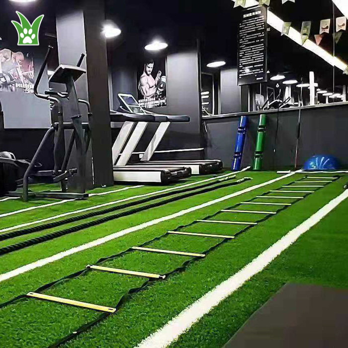 césped de gimnasio