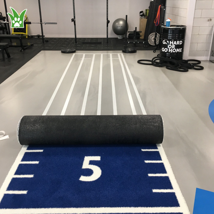 hierba de gimnasio